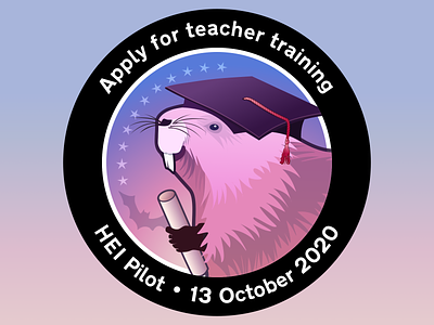 Apply for teacher training - Mission patch for the HEI Pilot
