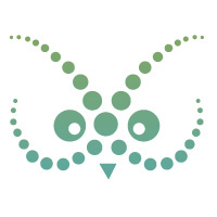 Kb Logo Concept circles gradient logo owl