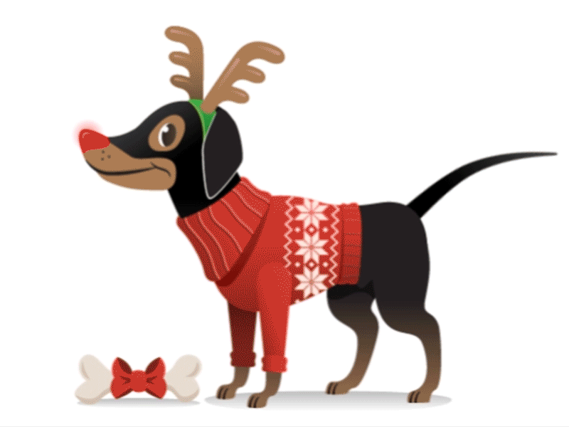 Lobo's Christmas sweater animation christmas dog gif illustration motion