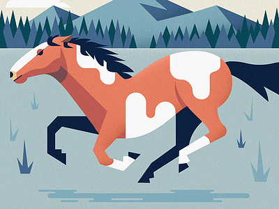 Galloping Pinto digital art horse illustration