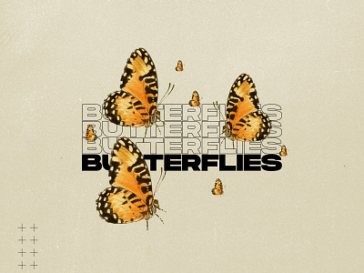 Butterflies album art art direction butterflies cover art design graphic design