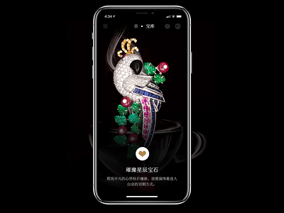 Charity & Jewelry APP Black Version ui 设计