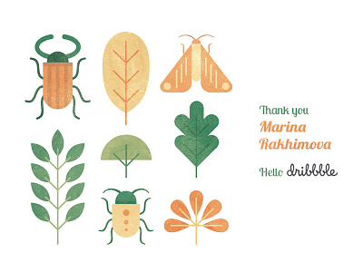 Bugs life illustration | Hello dribbble! bugs cute flat design flowers herbs illustration leafs nature textures