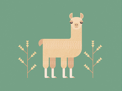 Cute alpaca