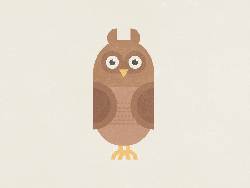 Funny owl animal animation flat design illustration nature owl textures