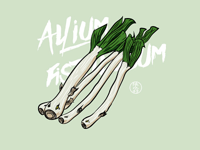 Allium fistulosum allium fistulosum art cook cooking crypto food illustration nft nft art nft artist
