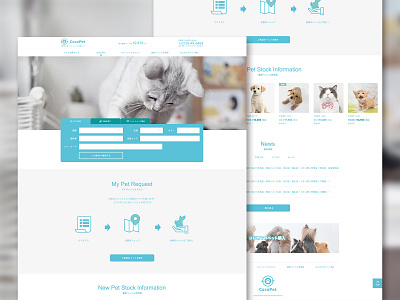 Pet Search Web Design cat dog pet pet design search web