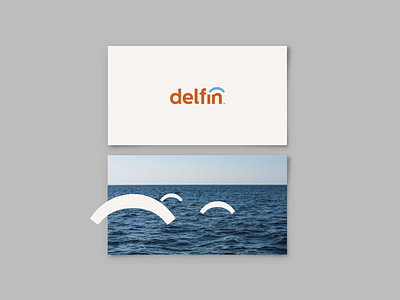 Delfín Visual identity