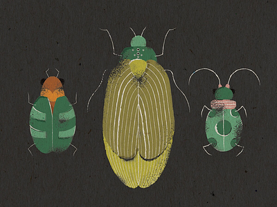 Beetles adobe beetle beetles bug bugs illustration illustrator insect stippling vector