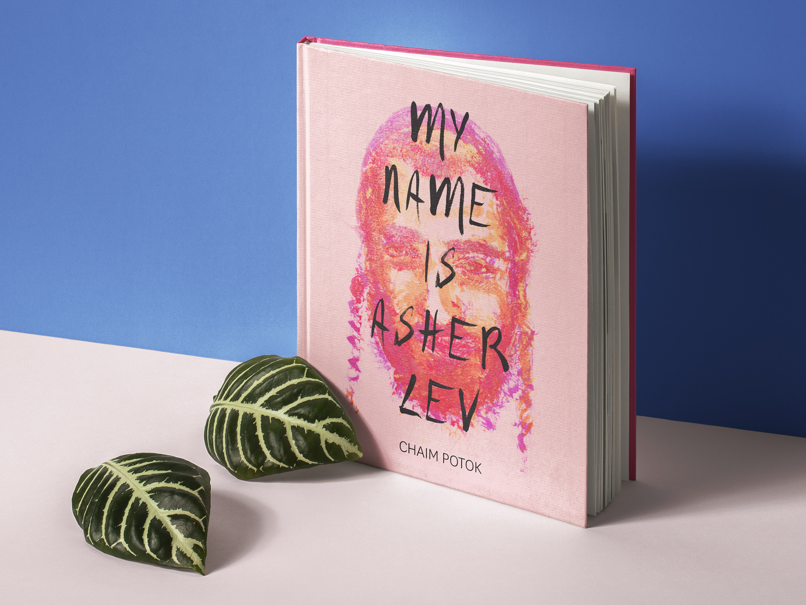My Name Is Asher Lev – Global Book Series by Joanna Goebel on Dribbble