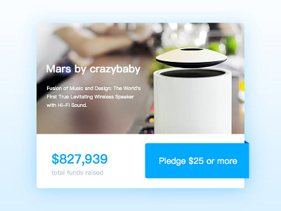 Day032 I Crowdfunding Campaign button campaign chips crowdfunding public ui