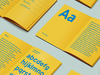 Dol Sans book font font design font family typogaphy typographic