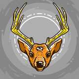 deer203A