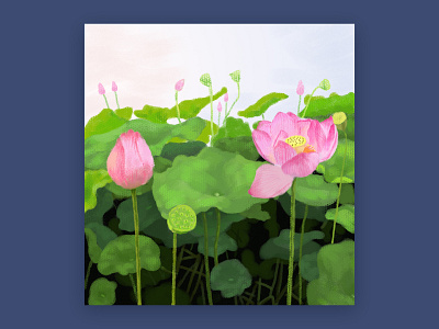 Illustration 006 D illustration lotus