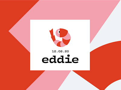 Eddie - Birthcard baby birth graphic design illustration logo typography