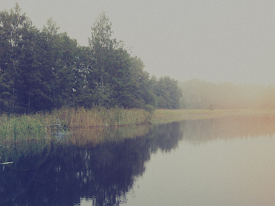 Foggy day fog lake photo