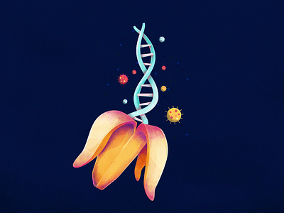 Banana DNA 3d banana brushes concept conceptual dna editorial editorial illustration genetics illustration illustrator photoshop science vector yellow