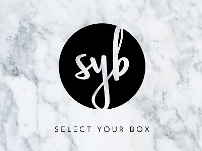 Select Your Box branding logo typography