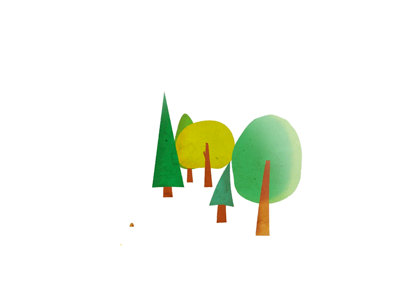 Enlarge your forest NOW 2d after effects animation illustration motion design motion graphics vector