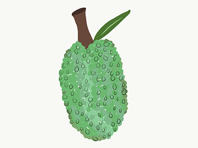 Browse thousands of Jackfruit images for design inspiration  Dribbble