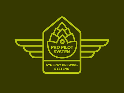 Pro Pilot System Revision