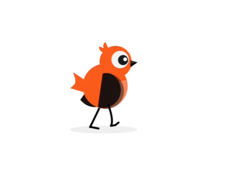 Bird Walking aftereffects animation design graphic design illustration motion graphic