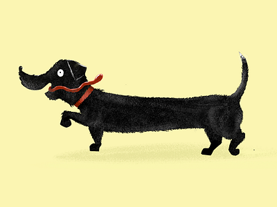 Turbo dog dachshund dog funny furry illustration sausage