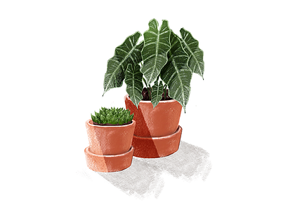 Plants cactus green illustration kyles brushes orange photoshop plant urban jungle