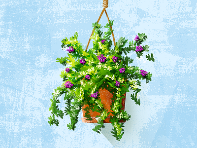 Summer Flowers fowers garden green hanging heat illustration plant purple
