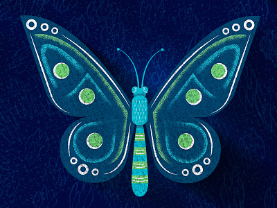Butterfly blue butterfly grain green illustration insect sketch