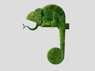 Animals Series Chameleon Anis Khaneev 800x600