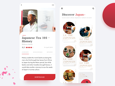 eBook App Concept