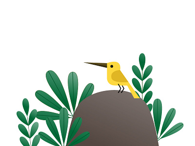 Hello Dribbble bird dribbble illustration india