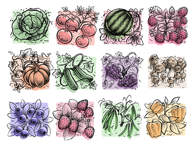 Fruits and Veggies color concept art design drawing illustration pattern sketch