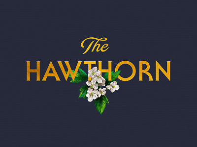 The Hawthorn Logo flower gimmedagold illustration logo