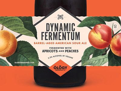 Dynamic Fermentum beer fruit label ology sour
