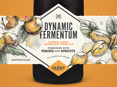 Dynamic Fermentum Peaches & Apricots apricots beer bottle label peaches sour