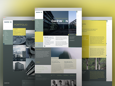 Darwin Website Proposal investment layout web