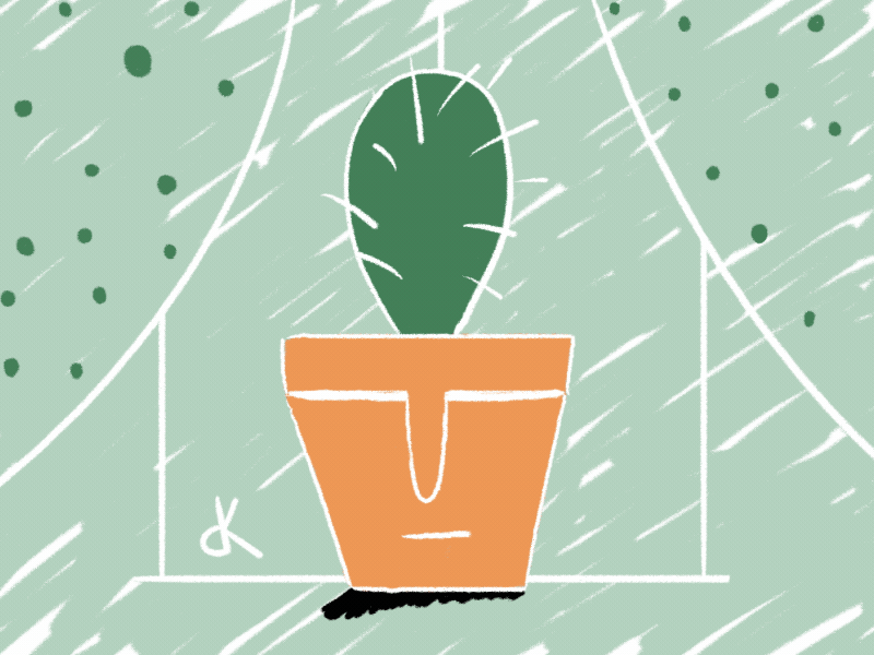 Freedom animation cactus flowerpot frame by frame funny houseplants illustration nature plant room simple