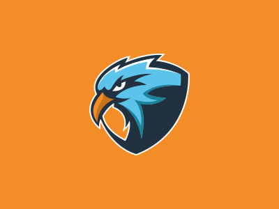 Eagle design eagle logo sport