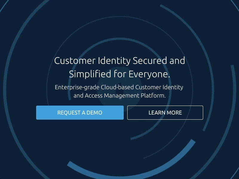 Identity and Security Hero Messaging branding css illustration svg vector web