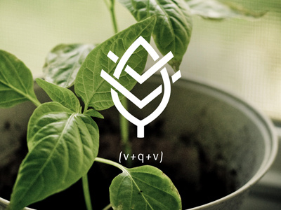 VQV Identity branding food identity leaf lettering nature nemetz organic restaurant vegetarian