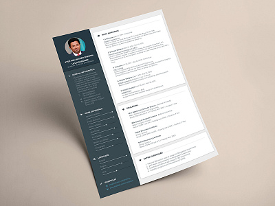 CV Design biodata clean cv design flat minimal mockup new nice simple ui