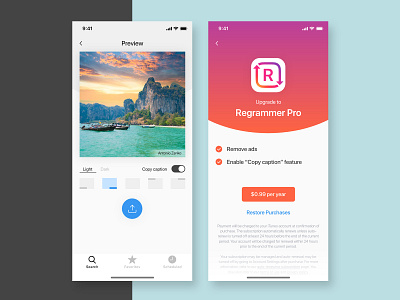 Regrammer app UI