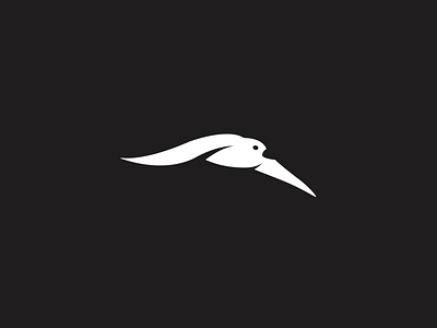 bird logo branding design icon illustration logo vector