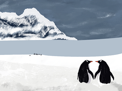 Penguin CP illustration photoshop the national geography