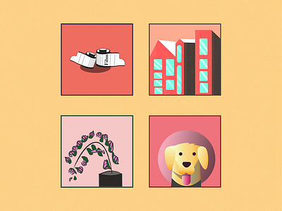 Home&Entertainment icons for GOPHO building dog film icon illustrator pet plant