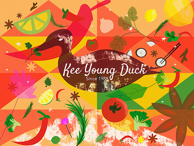 Ready Duck Meal Package brand illustration packaging