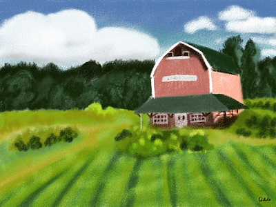 A Farm in summer