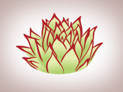 Echeverria agavoides 'Lipstick' illustration plant succulent vector